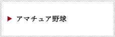 アマチュア野球