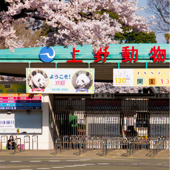 台東区の娯楽施設 画像