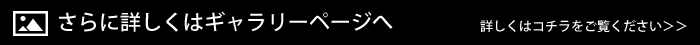 さらに詳しくはギャラリーページへ